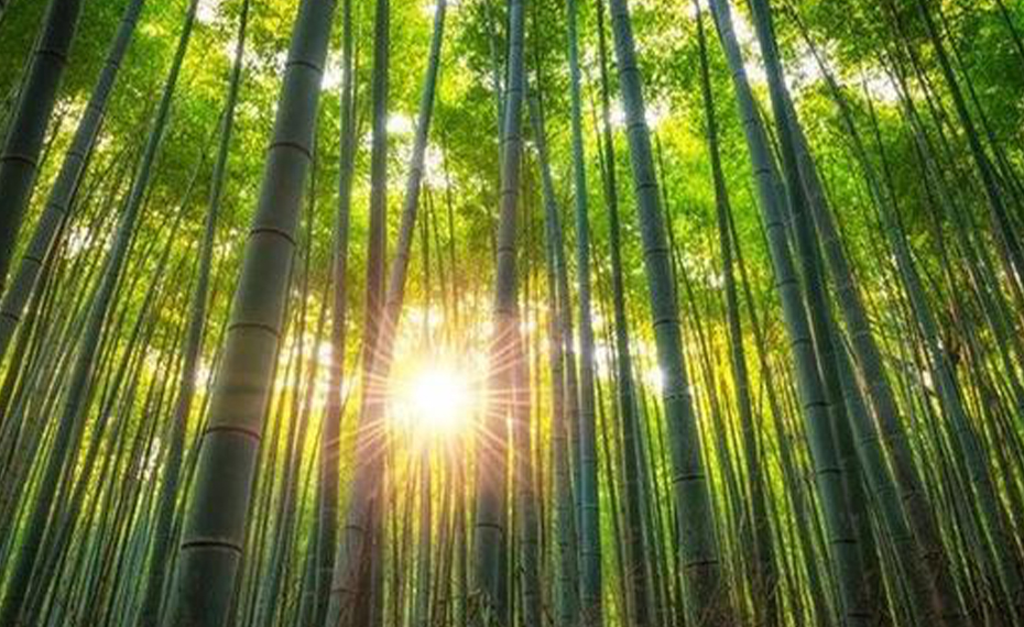 https://www.xsxlightfactory.com/news/a-bamboo-lamp-make-life-poetic/