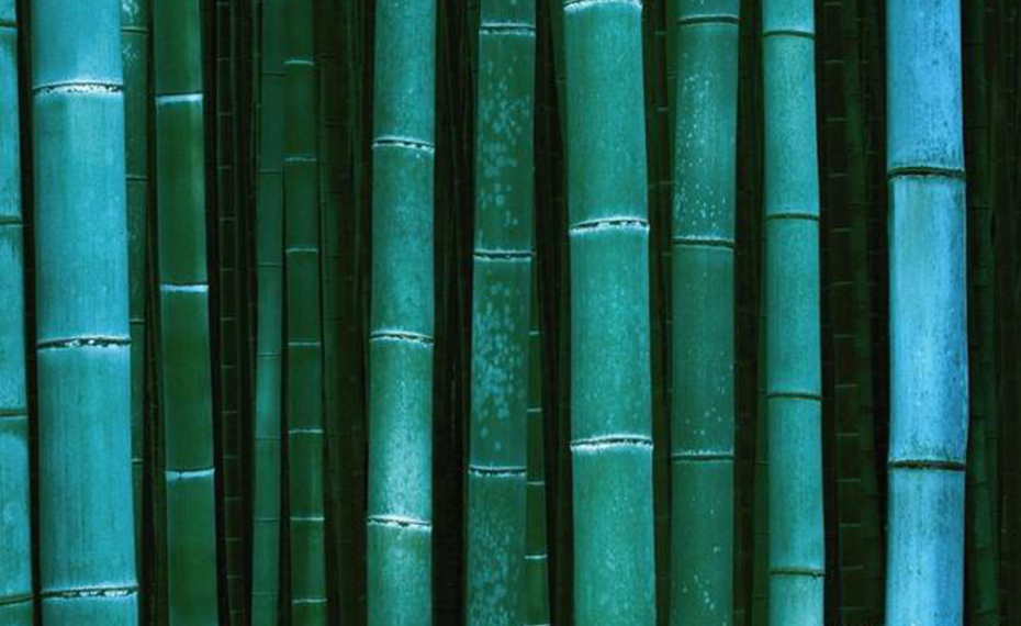 https://www.xsxlightfactory.com/news/a-bamboo-lamp-make-life-poetic/